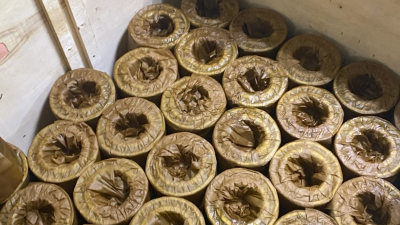 交叉滚子轴承深度解析 带你认识交叉滚子轴承